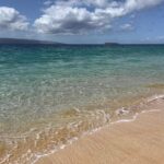 Katie Cassidy Instagram - It’s been a detrimental month for both Maui & Canada ♥️ My heart goes out to all those affected by the fires. Using my platform to make the world a better place is one of my favorite things. The fundraiser in my bio supports those affected by the Maui Fires and all money will go towards rebuilding Lahaina - anything and everything helps. Canada too will always have a special place in my heart. I lived in Vancouver for almost a decade while filming. Support the @westkelownaprofirefighters by clicking the link in their bio and contribute to their disaster relief fund.
