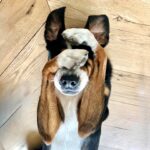 Katie Cassidy Instagram - Monday mood. #MeTooMurph