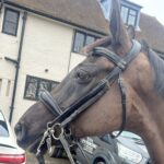 Katie Price Instagram - My love my passion and been in my life for 15 years my boy Wallis ❤️❤️ had a great hack today ❤️
