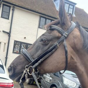 Katie Price Instagram - My love my passion and been in my life for 15 years my boy Wallis ❤️❤️ had a great hack today ❤️