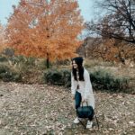 Katie Stevens Instagram - A troll in Central Park ✨