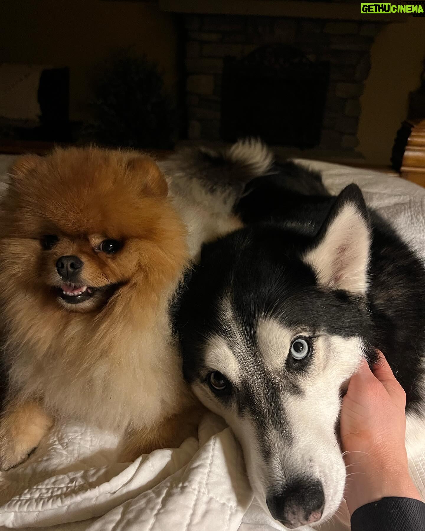 Katrin Tanja Davidsdottir Instagram - Random happies lately ✨❤️☁️ 1. Getting to dress up & go out! 2. Brooks & Koda howling together is one of my favorite things in this world. So sweet & SO PURE 🥹 .. but theo doesn’t have a clue what to do with it so he is just losing it in the back haha 3. Gym time is playtime with theo 🐾 4. Date night, finally 😍 5. Brooks was travelling so I had the boys with me in bed & can’t get over how cute they were just all snuggled up so close together 6. Walks with my besties in BEAUTIFUL weather! ✨ 7. @arnhilduranna 😂 this is our halloween costume next year. You heard it here first. 8. The CUTEST cheer squad 🥹 9. My kinda therapy 🫶🏼