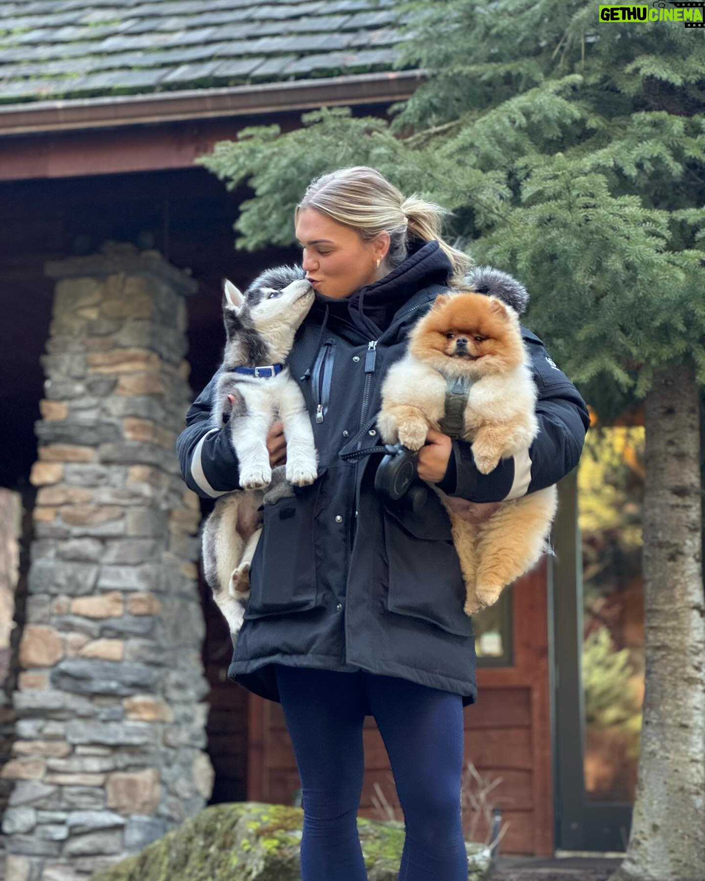 Katrin Tanja Davidsdottir Instagram - The puppy is @kylevandever’s but the attitude is all theo’s