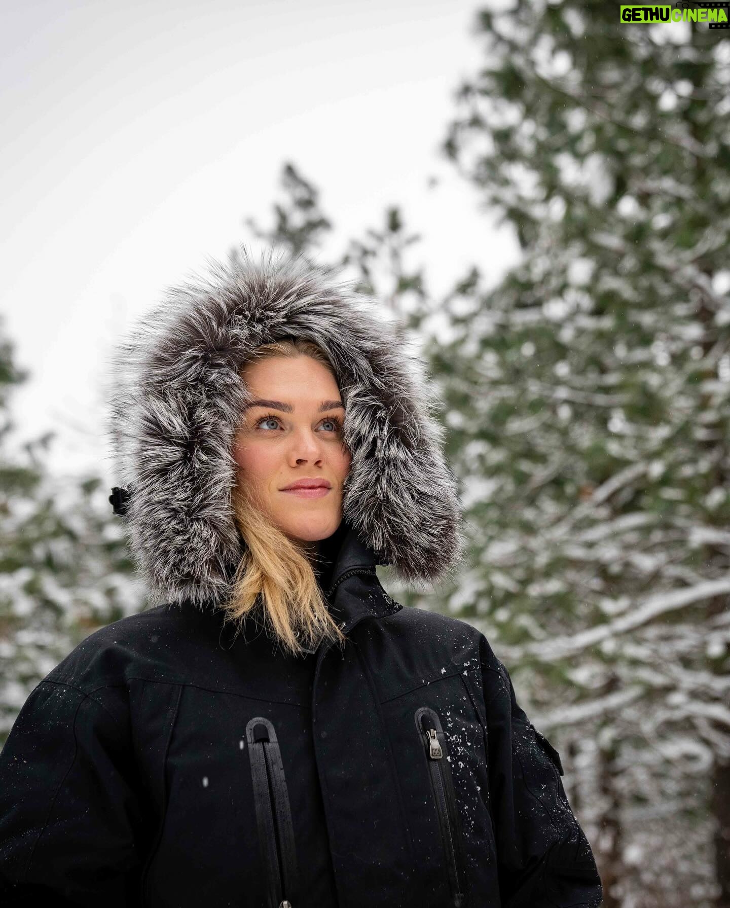 Katrin Tanja Davidsdottir Instagram - snow day with my boys ❄️🩵🐾🤭