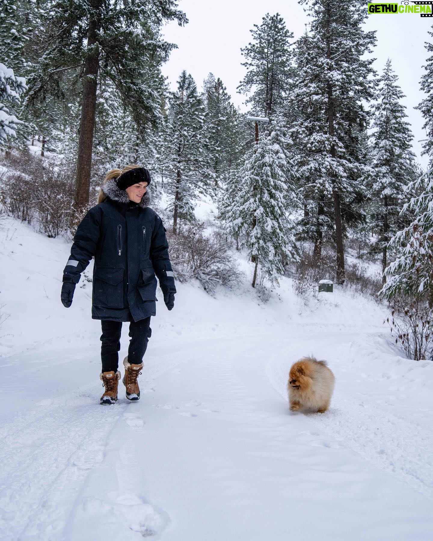 Katrin Tanja Davidsdottir Instagram - snow day with my boys ❄️🩵🐾🤭