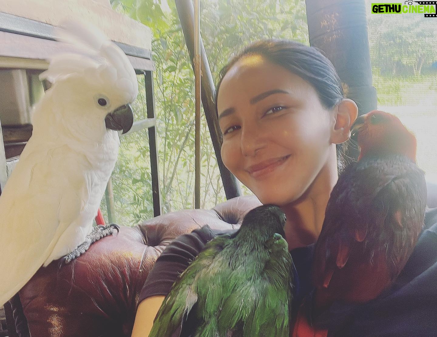 Katrina Halili Instagram - Meet may babies❤️
