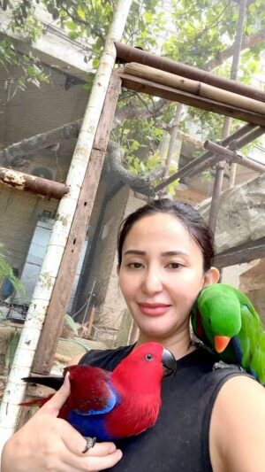 Katrina Halili Instagram - Amber & Jimmy 
#eclectusparrot