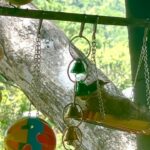 Katrina Halili Instagram - Most people believe that hummingbirds who come to visit you, whether in a dream or real life, are harbingers of good news. They can also mean that brand new and unpredictable joys are only moments away. Bye my lab!💋 sana maalala mo pa ako, #hummingbird #tiniestbirdintheworld