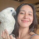 Katrina Halili Instagram - Hello Johnny👋🦜