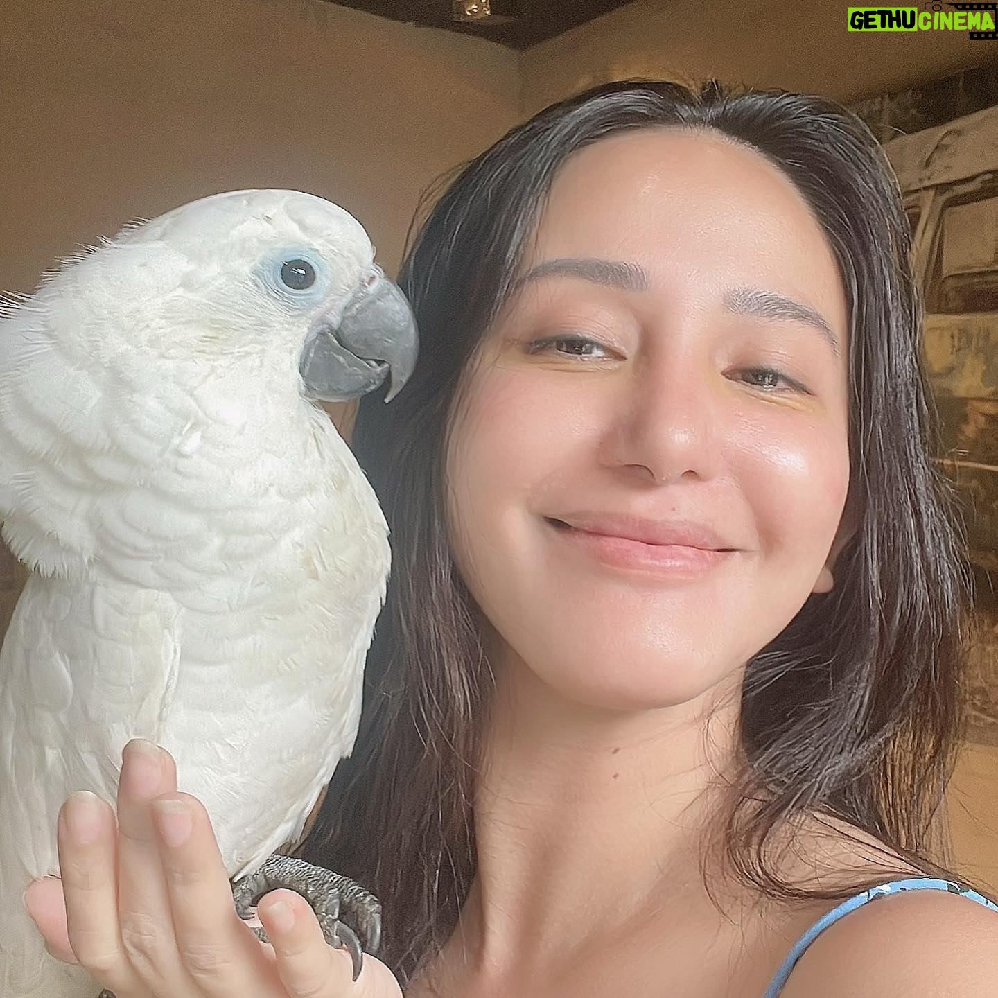 Katrina Halili Instagram - Hello Johnny👋🦜