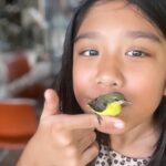 Katrina Halili Instagram - Most people believe that hummingbirds who come to visit you, whether in a dream or real life, are harbingers of good news. They can also mean that brand new and unpredictable joys are only moments away. Bye my lab!💋 sana maalala mo pa ako, #hummingbird #tiniestbirdintheworld
