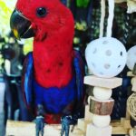 Katrina Halili Instagram – Good morning!😊 Goodvibes muna❤️