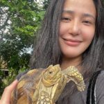 Katrina Halili Instagram – Hello @kuyakim_atienza 👋🐢