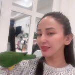 Katrina Halili Instagram - #aviphile🐦🐧🕊️