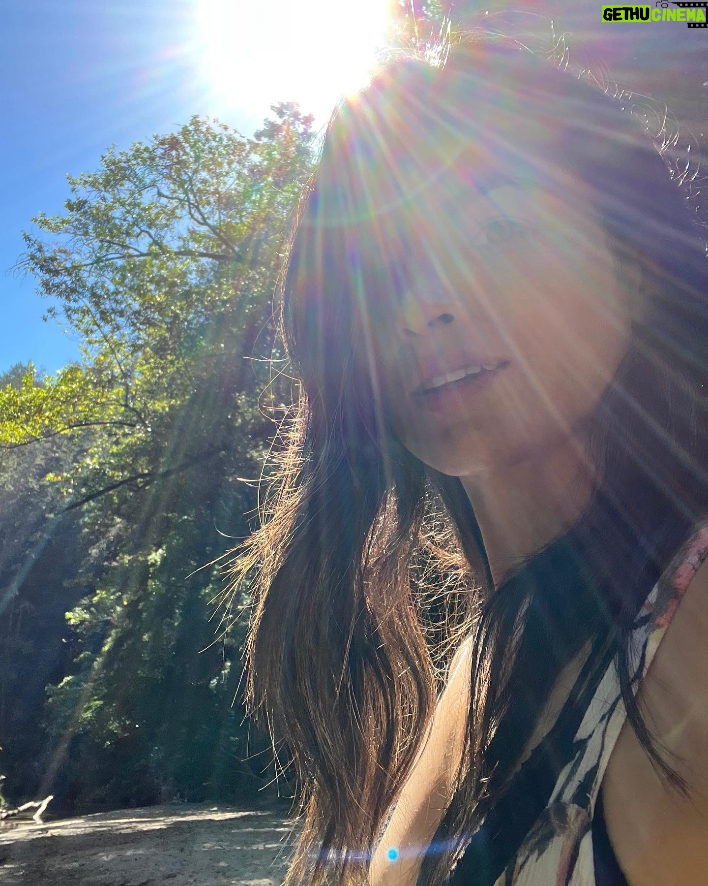 Katrina Law Instagram - Into the woods🏕️ Happy Monday ✌️ Redwoods #hikingattirestillonpoint
