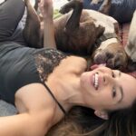 Katrina Law Instagram - Odin 🥰 Have a great weekend!
