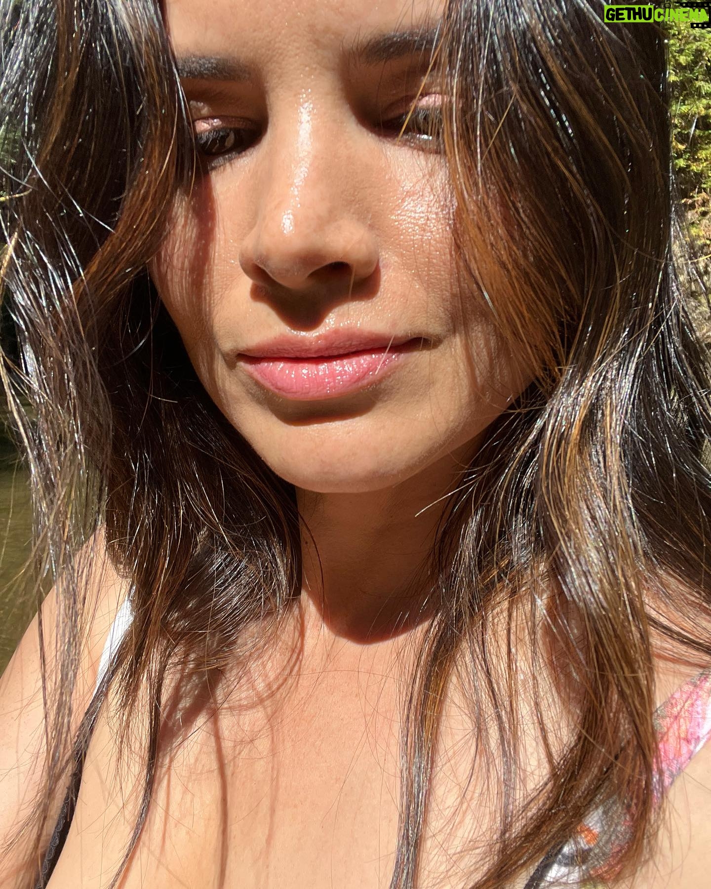 Katrina Law Instagram - Into the woods🏕️ Happy Monday ✌️ Redwoods #hikingattirestillonpoint
