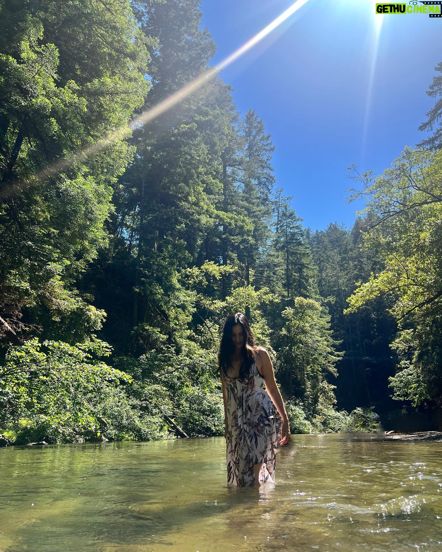 Katrina Law Instagram - Into the woods🏕️ Happy Monday ✌️ Redwoods #hikingattirestillonpoint