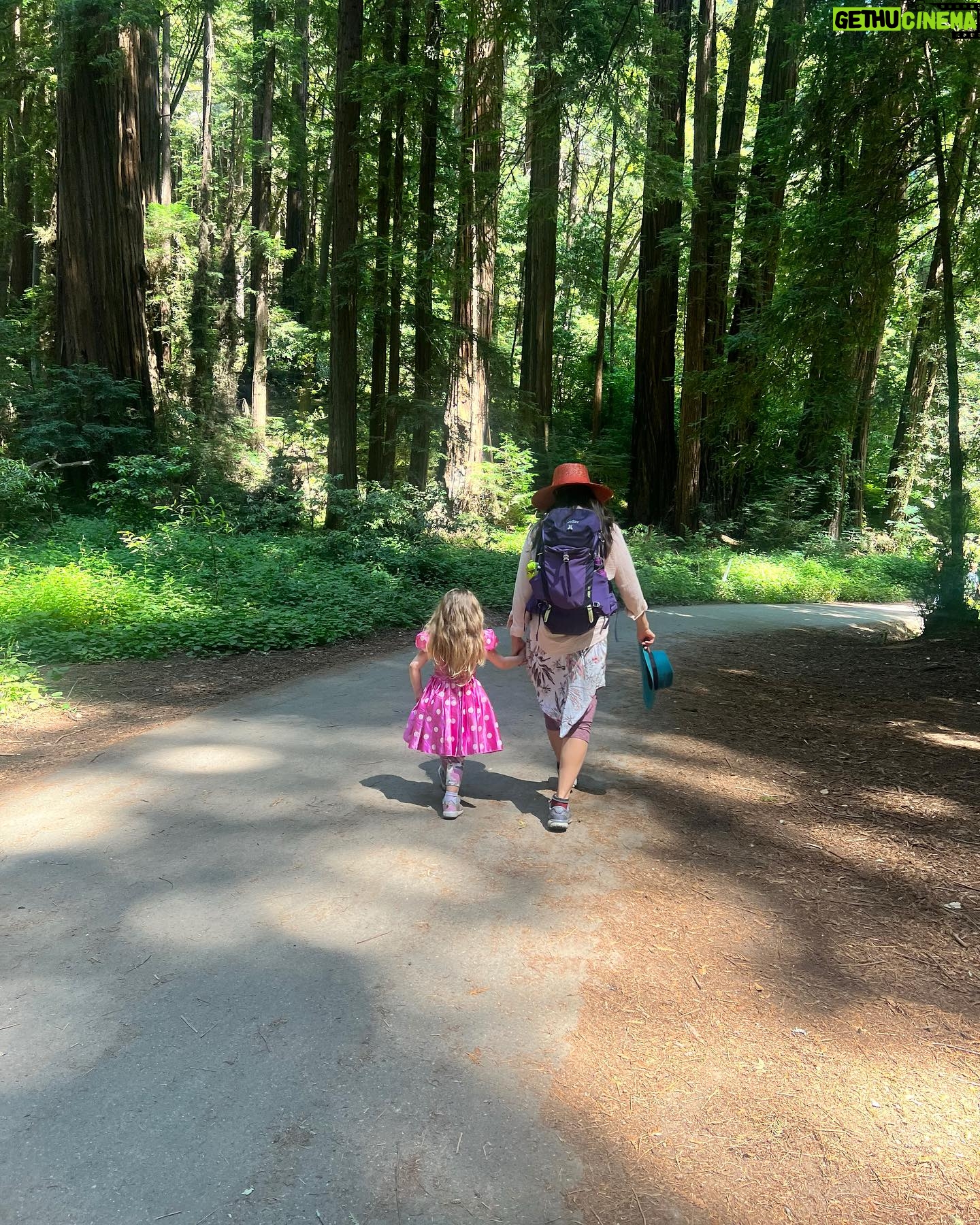 Katrina Law Instagram - Into the woods🏕️ Happy Monday ✌️ Redwoods #hikingattirestillonpoint