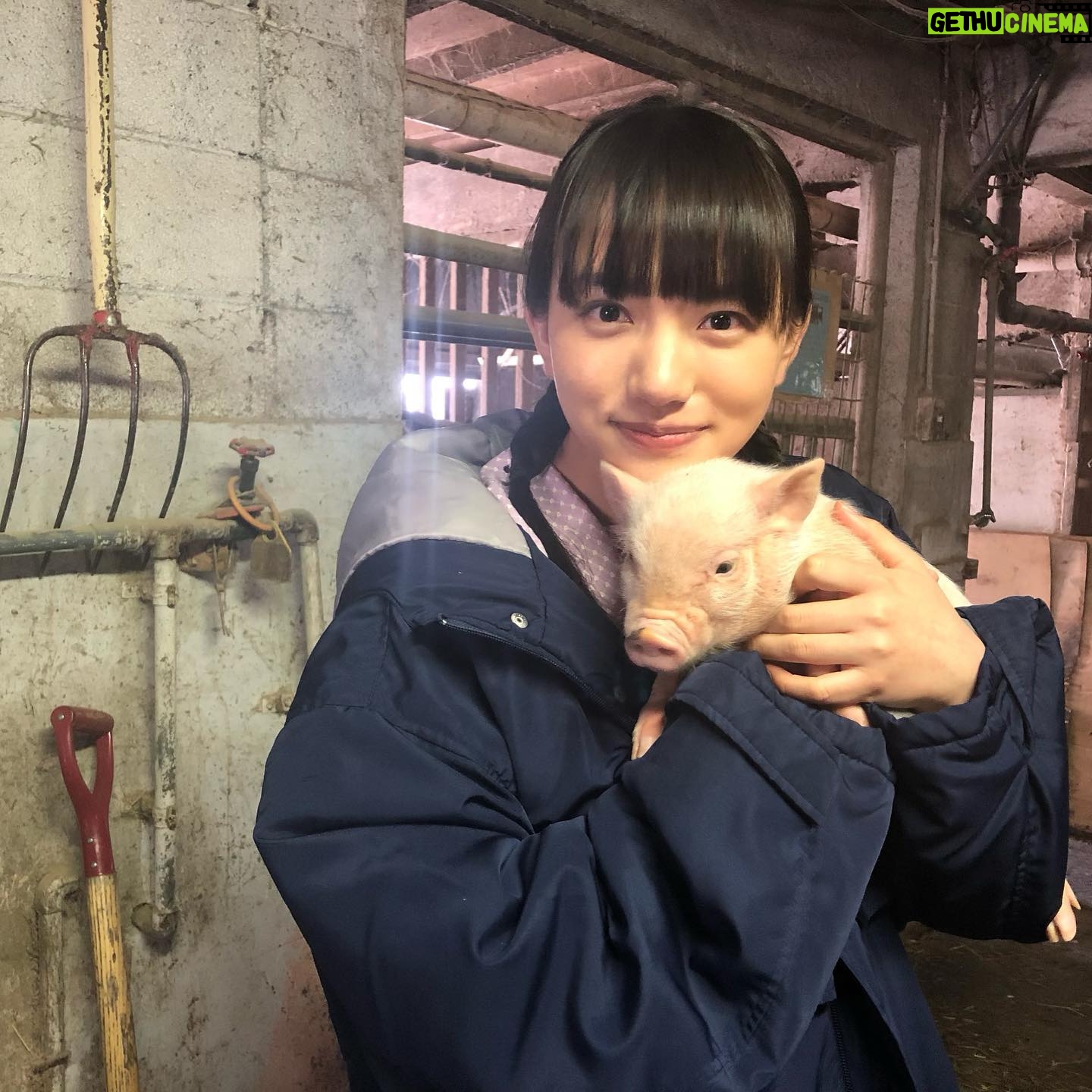 Kaya Kiyohara Instagram - NHK 連続テレビ小説 「なつぞら」 主人公 なつ の 生き別れた妹・千遥 役で 出演させて頂くことになりました..! 朝ドラは 私を0から1にしてくれた かけがえのない存在です。 今一度、初心に戻り 勉強させて頂きながら なつぞらの世界を しっかりと踏みしめて 歩ければと思っています。 本日より 登場しておりますので 皆さま、何卒宜しくお願い致します! . #NHK #連続テレビ小説 #なつぞら #千遥
