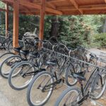 Kayla Maisonet Instagram - 🐻🪵🏕️🕷️🐿️🌲🍄🚲🔥