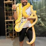 Kaysar Dadour Instagram - Agora só oficialmente uma cobra 🐍 #kaysar #cobra #cobras #exposição #visitpara #belémdopará #amazonia #amazônia #pará #sucuri #snake #kaysardadour #melhordianomundo