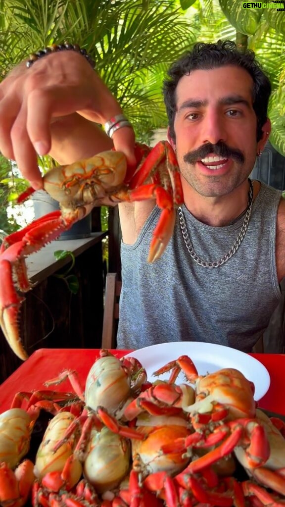 Kaysar Dadour Instagram - 9 caranguejos 🦀 Só quem ama e tem coragem de comer vai me entender 😜😍 #🦀 #riodejaneiro #kaysar #kaysardadour #caranguejo #crab #melhordianomundo #comer #comerbem #almoço #dieta