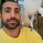 Kaysar Dadour Instagram - Sequencia do Tuf tuf tuf . . . . . #humor #memes #dança #cacatua #lançamento #pet #kakatua #kaysar #kaysardadour #melhordianomundo #sequenciadotuftuftuf #tuftuf #spotify #animais #animaisfofos #animallovers #animallover