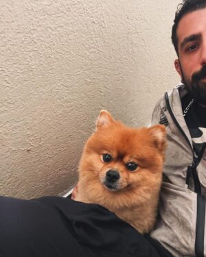 Kaysar Dadour Instagram - A legenda com vcs 😍 🐶 
.
.
.
#simba #kaysar #cachorro #kaysardadour #dog #cachorros #melhordianomundo #cachorrofeliz #dogsofinstagram #dogs #cachorrosfofos