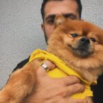 Kaysar Dadour Instagram - A legenda com vcs 😍 🐶 . . . #simba #kaysar #cachorro #kaysardadour #dog #cachorros #melhordianomundo #cachorrofeliz #dogsofinstagram #dogs #cachorrosfofos