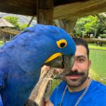 Kaysar Dadour Instagram - Metade de Mim #araraazul #araras #arara #kaysar #kaysardadour #melhordianomundo #المكاو_الازرق #المكاو #blue #bluearara #amo #minhapaixão #belémdopará #pará #visitpara