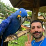 Kaysar Dadour Instagram - Metade de Mim #araraazul #araras #arara #kaysar #kaysardadour #melhordianomundo #المكاو_الازرق #المكاو #blue #bluearara #amo #minhapaixão #belémdopará #pará #visitpara