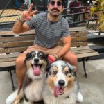 Kaysar Dadour Instagram - Quem sabe qual é a raça desses 3 lindos ?😜 Bom sábado pra vcs caracoo😘🙅‍♂️ #kaysar #kaysardadour #melhordianomundo #cachorro #cachorrosfofos #cachorrosdobrasil #dogsofinstagram #dog