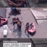 Kaysar Dadour Instagram - CAVALO “CARAMELO” É RESGATADO APÓS PASSAR HORAS ILHADO EM TELHADO NO RIO GRANDE DO SUL. Chave: enchentes@vakinha.com.br Nome: Vakinha