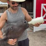 Kaysar Dadour Instagram - Comprei minha fazendo no #pará e mostro tudo para vocês em #tracuateua #bragança #visitpara #kaysar #kaysardadour #melhordianomundo #belémdopará
