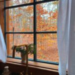 Kellan Lutz Instagram – I’ll never stop falling for you baby 🥰🤎🍁🍂

Had the sweetest little staycation celebrating our 6th anniversary. This treehouse was SO beautiful and the perfect place to getaway and reflect on last year and pray into/make plans and goals for year 7. 

There’s no one on the planet I’d rather grow and build with than the one I got. 🥰