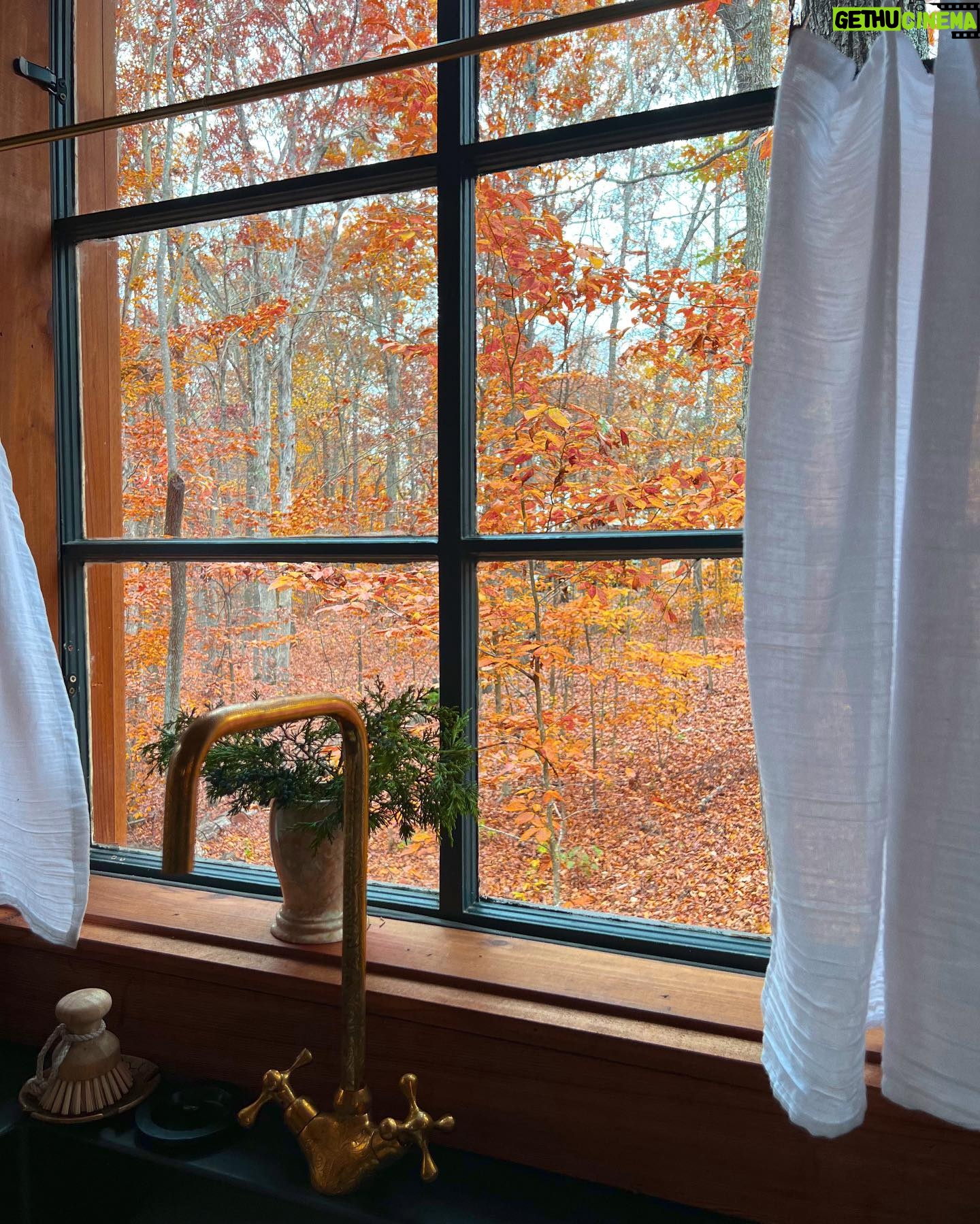 Kellan Lutz - 22.5K Likes - I’ll never stop falling for you baby 🥰🤎🍁🍂
Had the sweetest little staycation celebrating our 6th anniversary. This treehouse was SO beautiful and the perfect place to getaway and reflect on last year and pray into/make plans and goals for year 7.
There’s no one on the planet I’d rather grow and build with than the one I got. 🥰