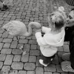 Kellan Lutz Instagram - Some Feb moments in B&W 1. Valentine’s Day with kids is >>>>> 👨‍👩‍👧‍👦💝 2. This girl loves dinosaurs, excavators, and insects 🦖🦎🐞 3. Food makes Kasen happy like his mama 😋 4. Told ya 🙃 5. We have a THREE year old 🥹 6. Us. ❤️‍🔥 7. Went to the zoo for Ashtyn’s birthday and on the way out fed some flamingos 🦩 8. The best of friends 👫 Now onto March with is Kellan and my bday month!!