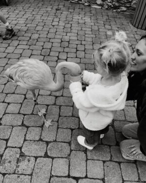 Kellan Lutz Instagram - Some Feb moments in B&W
1. Valentine’s Day with kids is >>>>> 👨‍👩‍👧‍👦💝
2. This girl loves dinosaurs, excavators, and insects 🦖🦎🐞
3. Food makes Kasen happy like his mama 😋
4. Told ya 🙃
5. We have a THREE year old 🥹
6. Us. ❤️‍🔥
7. Went to the zoo for Ashtyn’s birthday and on the way out fed some flamingos 🦩
8. The best of friends 👫

Now onto March with is Kellan and my bday month!!