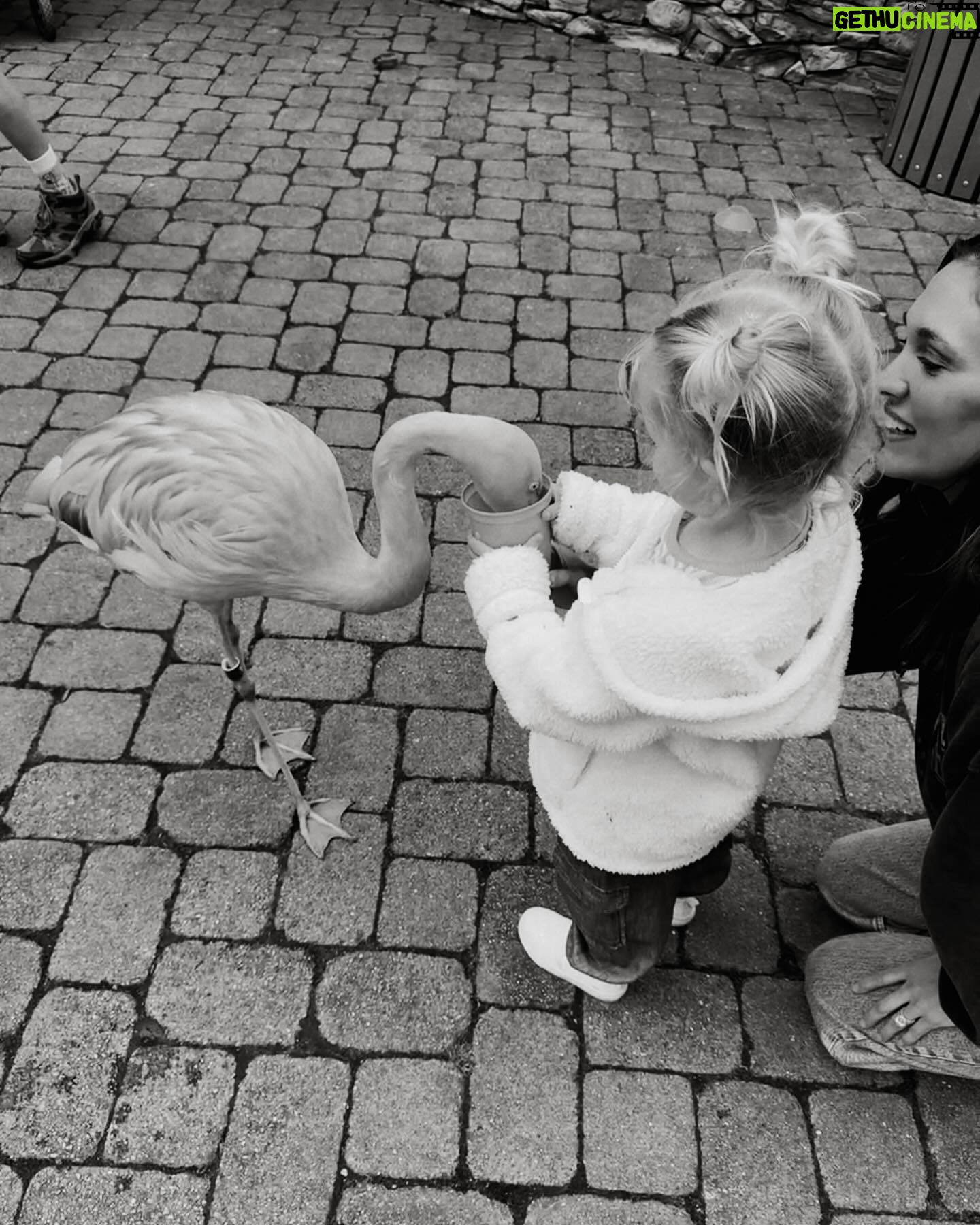 Kellan Lutz - 20.9K Likes - Some Feb moments in B&W
1. Valentine’s Day with kids is >>>>> 👨👩👧👦💝
2. This girl loves dinosaurs, excavators, and insects 🦖🦎🐞
3. Food makes Kasen happy like his mama 😋
4. Told ya 🙃
5. We have a THREE year old 🥹
6. Us. ❤️🔥
7. Went to the zoo for Ashtyn’s birthday and on the way out fed some flamingos 🦩
8. The best of friends 👫
Now onto March with is Kellan and my bday month!!