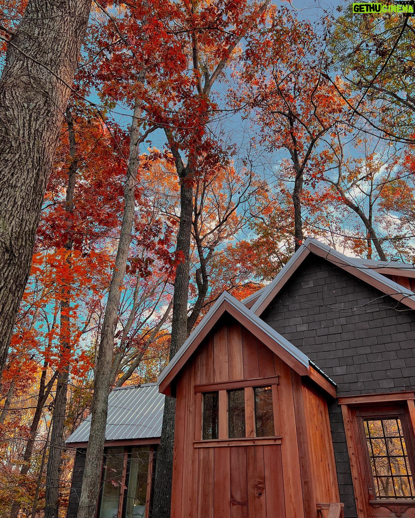 Kellan Lutz - 22.5K Likes - I’ll never stop falling for you baby 🥰🤎🍁🍂
Had the sweetest little staycation celebrating our 6th anniversary. This treehouse was SO beautiful and the perfect place to getaway and reflect on last year and pray into/make plans and goals for year 7.
There’s no one on the planet I’d rather grow and build with than the one I got. 🥰