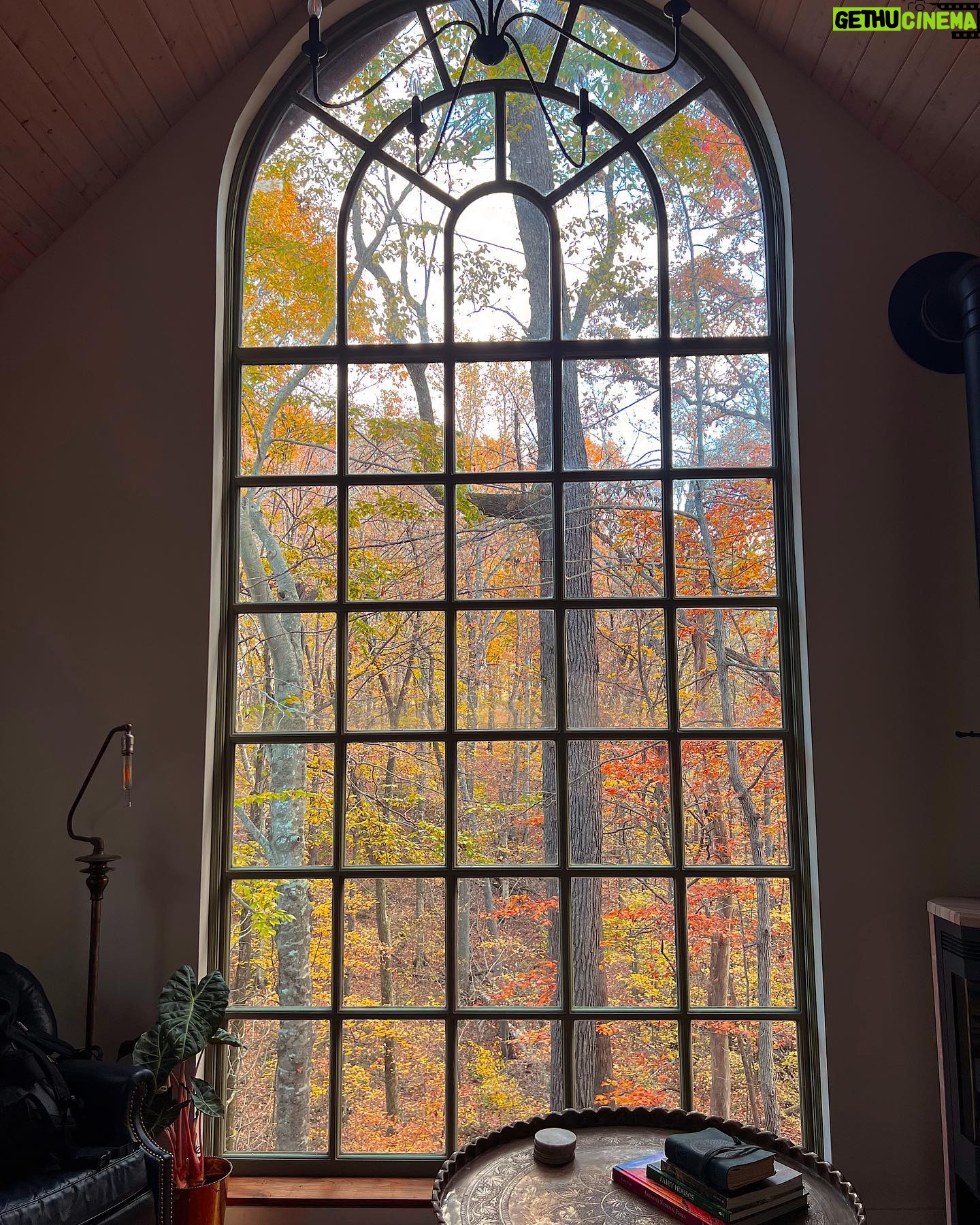 Kellan Lutz - 22.5K Likes - I’ll never stop falling for you baby 🥰🤎🍁🍂
Had the sweetest little staycation celebrating our 6th anniversary. This treehouse was SO beautiful and the perfect place to getaway and reflect on last year and pray into/make plans and goals for year 7.
There’s no one on the planet I’d rather grow and build with than the one I got. 🥰