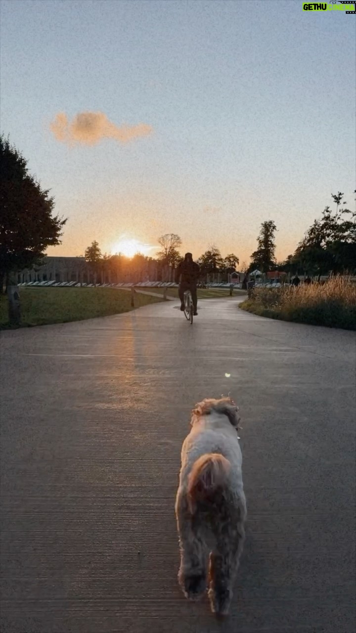 Kelly Brook Instagram - No one in our house had a better year than the dog!!! π§Έπ«πβοΈ