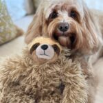 Kelly Brook Instagram – Teddy 💘 🦥