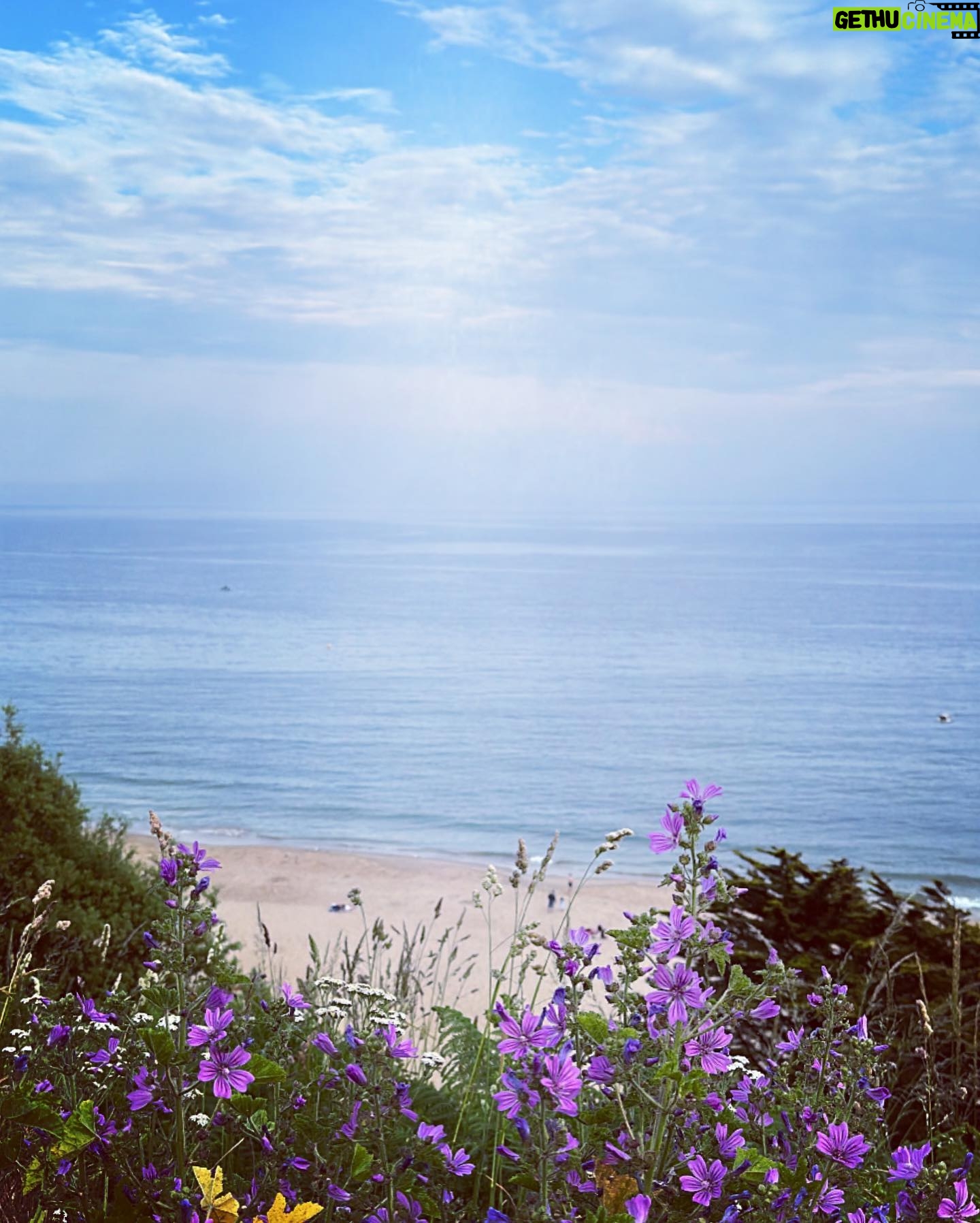 Kelly Brook Instagram - All the Miami Vibes in Bournemouth this weekend for Teddy! ππποΈπΆππΉ#DogFriendly