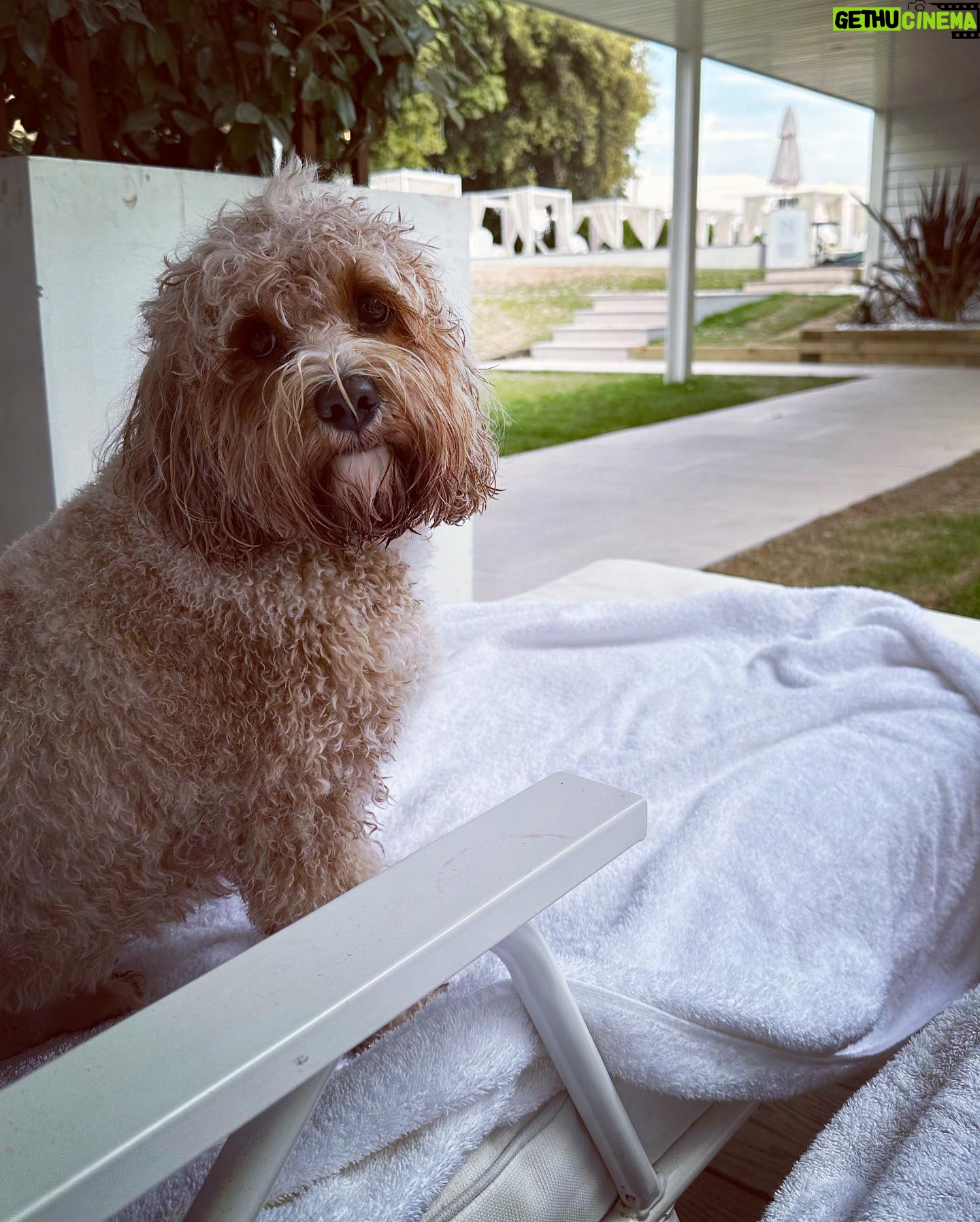 Kelly Brook Instagram - All the Miami Vibes in Bournemouth this weekend for Teddy! ππποΈπΆππΉ#DogFriendly