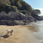 Kelly Brook Instagram - Teddy’s Holiday to Salcombe 🦀💕🐚🦞🐶🐾🦴⚓️🚤