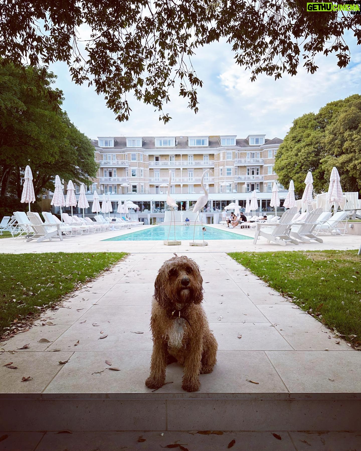 Kelly Brook Instagram - All the Miami Vibes in Bournemouth this weekend for Teddy! ππποΈπΆππΉ#DogFriendly