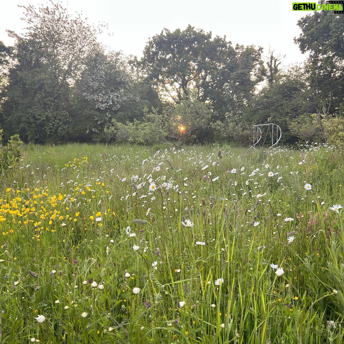 Kelly Brook Instagram - It’s been so beautiful Introducing Wildflowers to our Apple & Pear Orchard 🌼 #KentlivingwithKelly