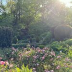 Kelly Brook Instagram - My Garden in the Woods 🪵🌸 #KentlivingwithKelly